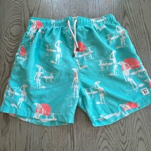 Endless Summer Teal Swim Shorts with Surfer Print